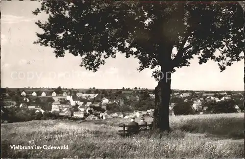 Vielbrunn Panorama Kat. Michelstadt