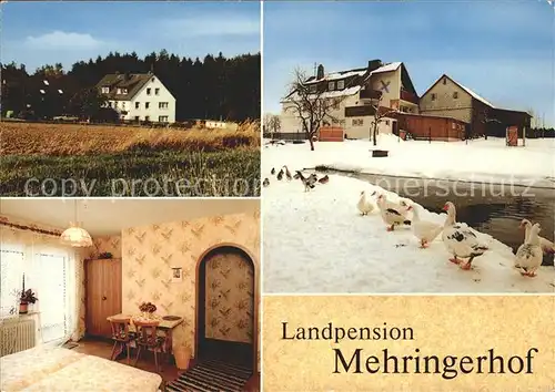 Leupoldsgruen Pension Mehringerhof Kat. Leupoldsgruen