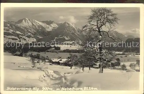 Bolsterlang Panorama mit Nebelhorn Kat. Bolsterlang