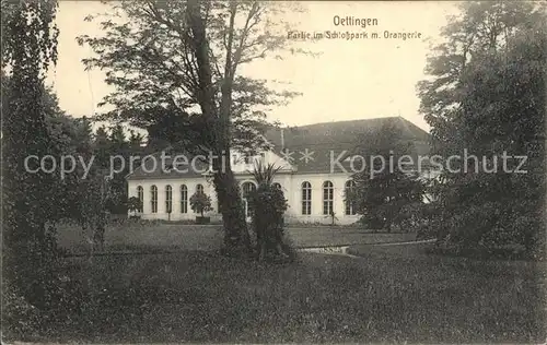Oettingen Partie im Schlosspark mit Orangerie Kat. Oettingen i.Bay.