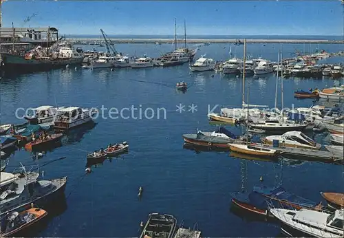 Viareggio Il particciolo Kat. viareggio