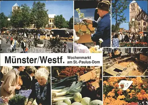 Muenster Westfalen Wochenmarkt am St Paulus Dom Kat. Muenster