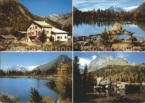 Poschiavo Alpe Lago Val die Campo Piz Ursera Piz Palue Kat. Poschiavo