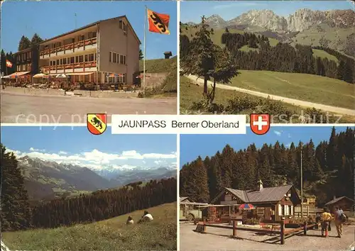 Jaunpass Hotel des Alpes Gastlosen Panorama Simmental Sportbazar Kat. Jaun