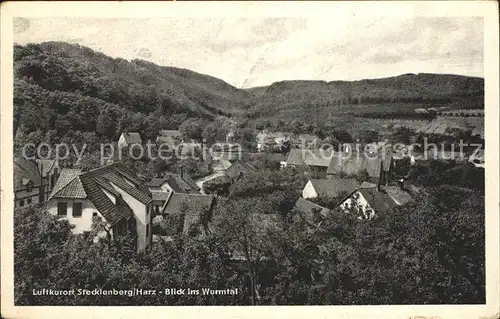 Stecklenberg Luftkurort Blick ins Wurmtal Kat. Stecklenberg