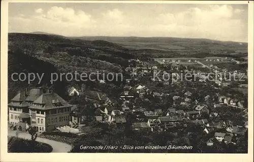 Gernrode Harz Panorama Blick vom einzelnen Baeumchen Kat. Gernrode Harz