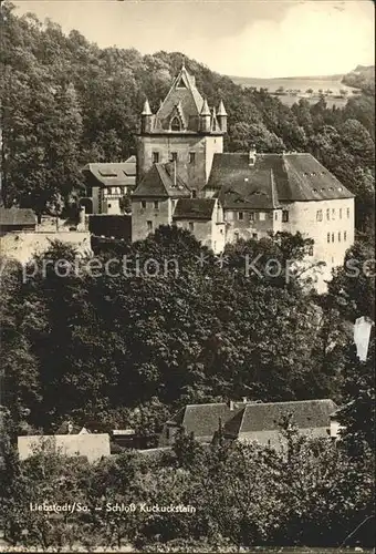 Liebstadt Schloss Kuckuckstein Kat. Liebstadt