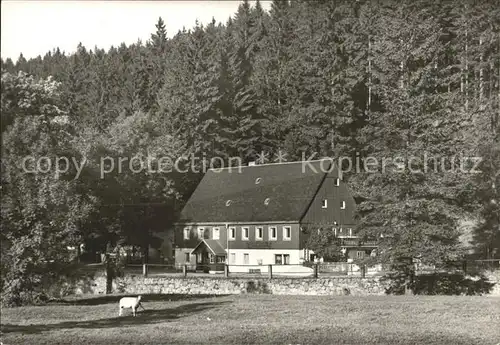 Seyde Ferienheim Zwergbaude Kat. Hermsdorf Osterzgebirge