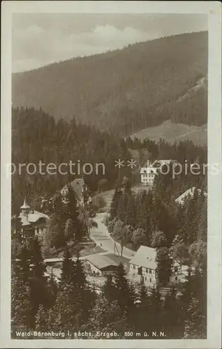 Waldbaerenburg Teilansicht Kat. Altenberg