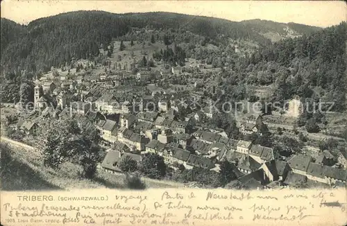 Triberg Schwarzwald  Kat. Triberg im Schwarzwald