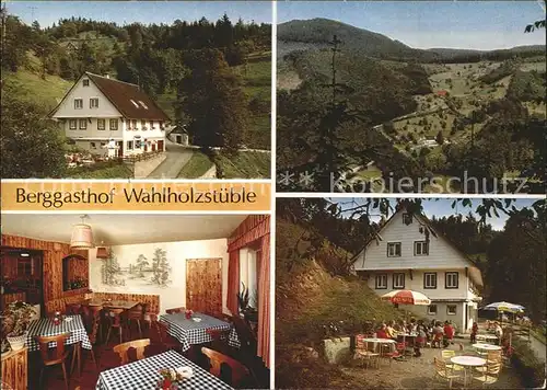 Lierbach Gasthaus Wahlholzstueble Kat. Oppenau