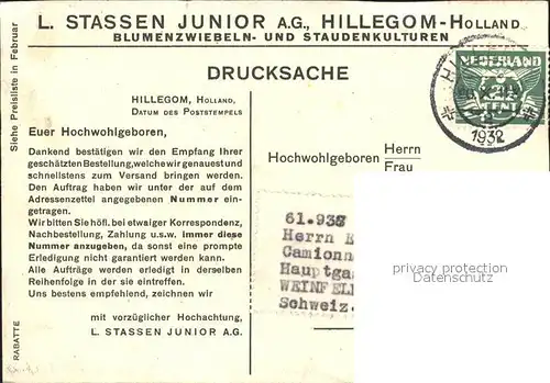Hillegom L. Stassen Junior AG Blumenzwiebeln Staudenkulturen Kat. Hillegom