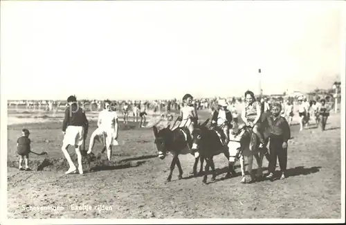 Scheveningen Ezeltje rijden Eselreiten Kat. Scheveningen