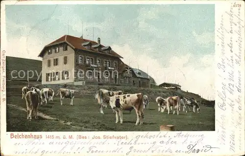 Belchen Baden Belchenhaus Berggasthof Viehweide Kuehe Kat. Neuenweg