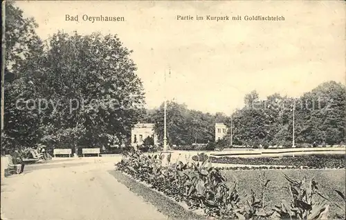 Bad Oeynhausen Partie im Kurpark mit Goldfischteich Bahnpost Kat. Bad Oeynhausen
