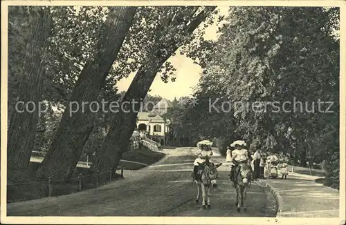 Bad Nauheim Partie am Kurhaus Eselreiten Kat. Bad Nauheim