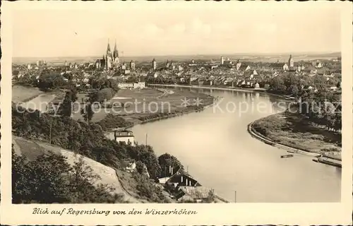Regensburg Panorama Blick von den Winzerhoehen Donau Dom Kat. Regensburg