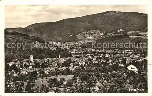 Schopfheim Panorama Kat. Schopfheim