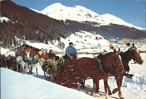 Davos GR Pferde Schlittenfahrt Schatzalp Schiahorn Wintersportplatz Kat. Davos