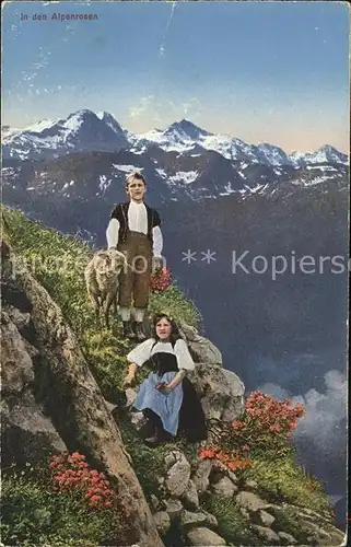 Kleine Scheidegg Wengen In den Alpenrosen Trachten Schaf Alpenpanorama Kat. Scheidegg Kleine