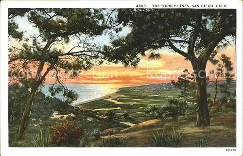 San Diego California Torrey Pines Panorama Ocean Kat. San Diego