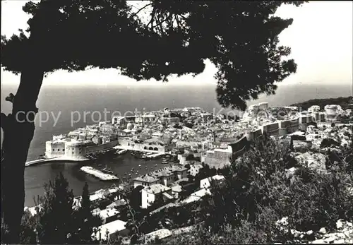 Dubrovnik Ragusa Blick auf Altstadt Festung Hafen Kat. Dubrovnik