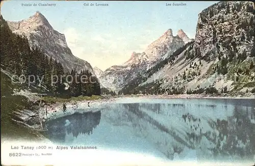 Tanay Valais Lac Taney Alpes Valaisannes Kat. Vouvry