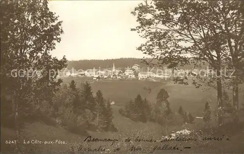 La Cote aux Fees Panorama Blick vom Waldrand Kat. La Cote aux Fees