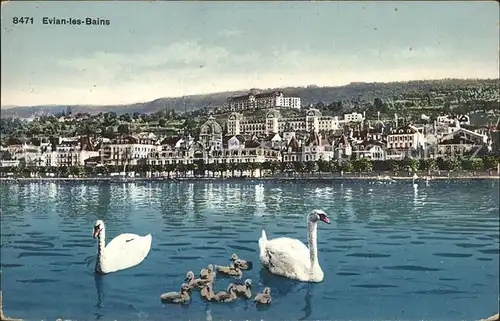 Evian les Bains Haute Savoie Ansicht vom Genfersee aus Schwanenfamilie Kat. Evian les Bains