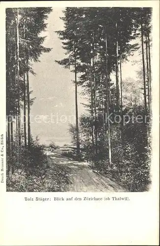 Thalwil Waldpartie Blick auf den Zuerichsee Kuenstler Balz Staeger Kat. Thalwil
