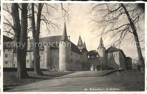 Colombier NE Chateau Schloss Kat. Colombier NE