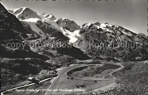 Sustenpass Passhoehe Panorama mit Tierberge Kat. Susten