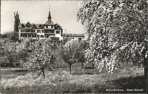 Rueschlikon Hotel Belvoir Baumbluete Kat. Rueschlikon