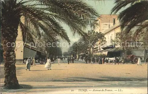 Tunis Avenue de France Palmier Kat. Tunis