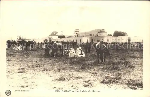 Rabat Rabat Sale Palais du Sultan Chevaux Kat. Rabat