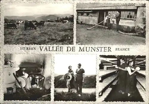 Munster Haut Rhin Elsass Chez les Marcaires de la Vallee de Munster Kaeseproduktion Alpenhorn Kat. Munster