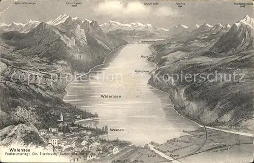 Weesen SG Walensee Alpenpanorama aus der Vogelperspektive Kat. Weesen