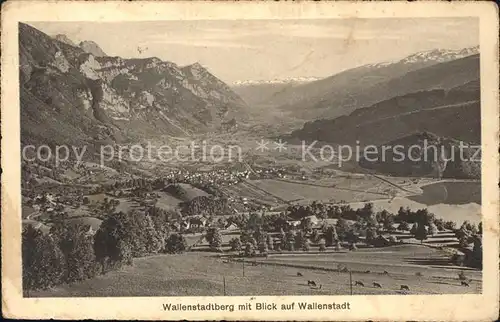 Walenstadtberg mit Blick auf Wallenstadt Walensee Alpenpanorama Kat. Walenstadtberg