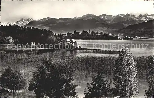 Rapperswil SG Uferpartie am Zuerichsee Alpenpanorama Kat. Rapperswil SG