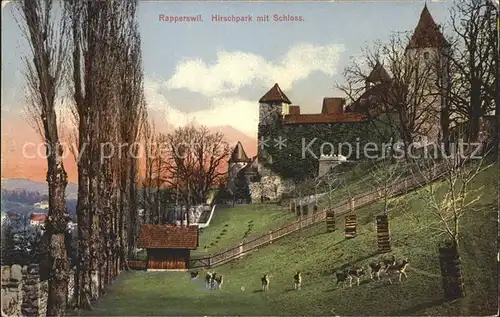 Rapperswil SG Hirschpark und Schloss Kat. Rapperswil SG