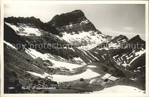 Speer Walensee Gebirgspanorama Appenzeller Alpen Kat. Speer