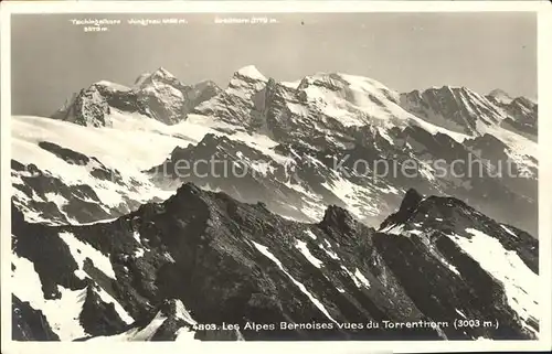 Torrenthorn Panorama Alpes Bernoises Kat. Torrenthorn