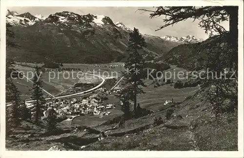 Samaden Panorama Engadin Alpen Kat. Maloja