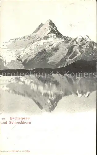 Bachalpsee Seespiegelung Schreckhorn Berner Alpen Kat. Grindelwald
