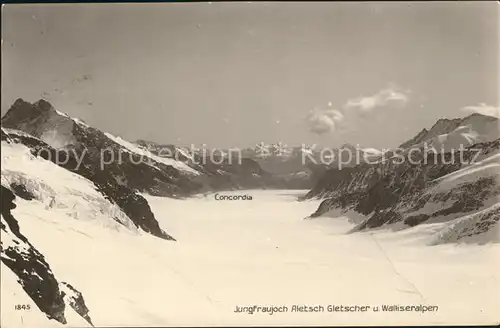 Aletschgletscher Panorama Blick vom Jungfraujoch Walliser Alpen Kat. Aletsch Grosser