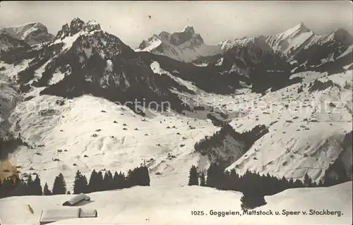Goggeien Walensee Winterpanorama Blick vom Stockberg Mattstock Speer Kat. Goggeien