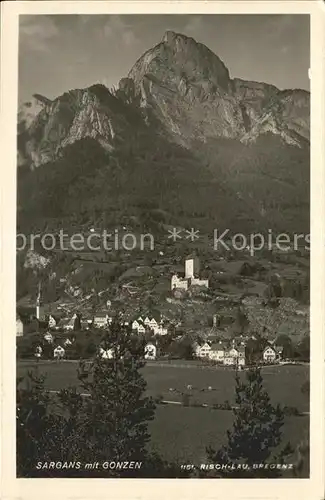 Sargans Gesamtansicht mit Schloss und Gonzen Appenzeller Alpen Kat. Sargans