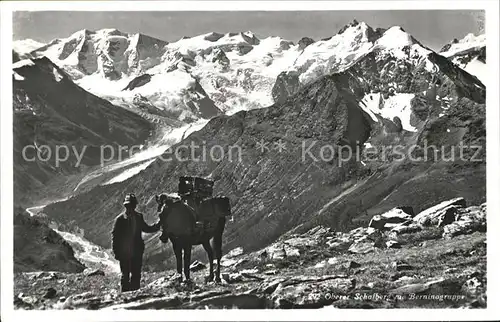 Pontresina Segantini Huette Mann mit Pferd am Oberen Schafberg Kat. Pontresina