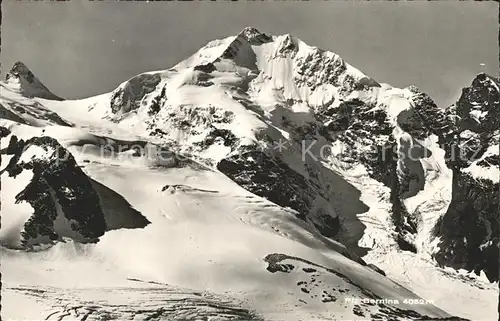 Piz Bernina  Kat. Piz Bernina