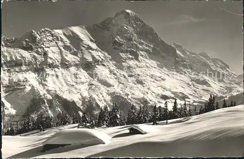Eiger Grindelwald  Kat. Eiger